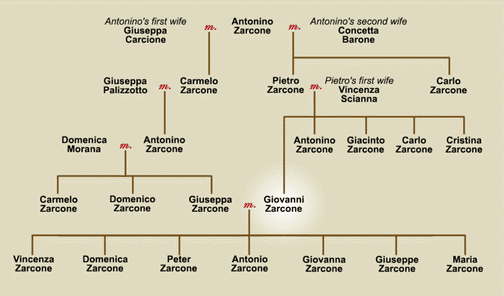 Zarcone family tree