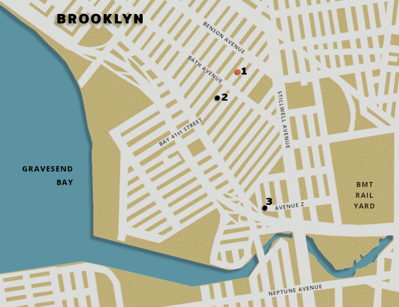 Map of South Brooklyn by Thomas Hunt