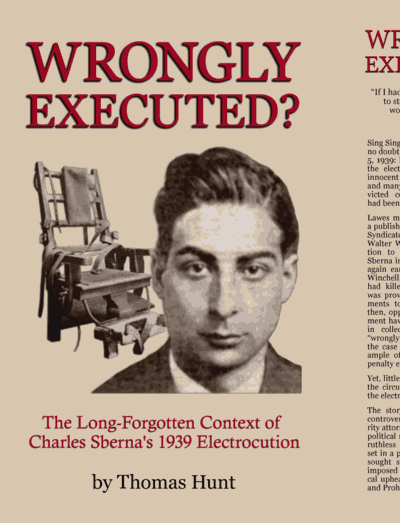 Wrongly Executed? Hardcover book cover